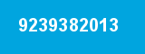 9239382013 9239382013