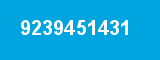 9239451431