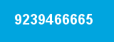 9239466665