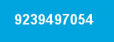 9239497054