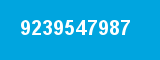 9239547987