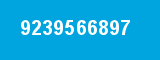 9239566897