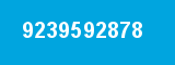 9239592878