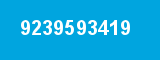 9239593419