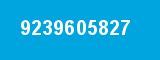 9239605827