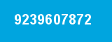 9239607872 9239607872