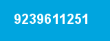 9239611251