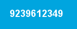 9239612349