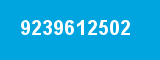 9239612502