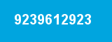 9239612923
