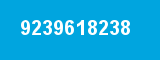 9239618238 9239618238