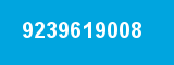 9239619008