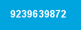 9239639872