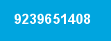 9239651408