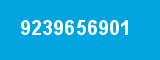9239656901 9239656901