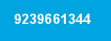 9239661344 9239661344