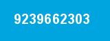 9239662303 9239662303