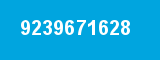 9239671628