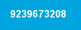 9239673208