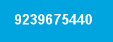 9239675440