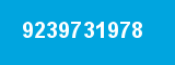 9239731978