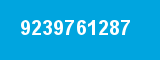 9239761287