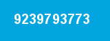 9239793773