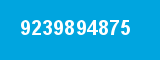 9239894875 9239894875