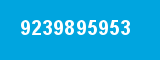 9239895953