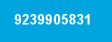 9239905831