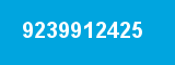 9239912425