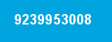 9239953008 9239953008
