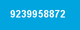 9239958872