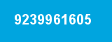 9239961605