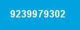 9239979302