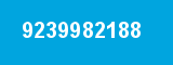 9239982188