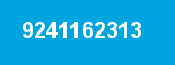 9241162313