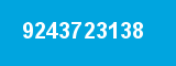 9243723138