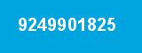 9249901825