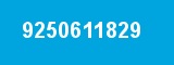9250611829