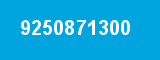 9250871300