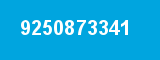 9250873341 9250873341