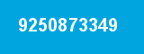 9250873349