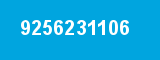 9256231106