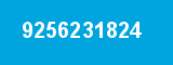 9256231824