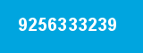 9256333239