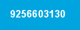 9256603130