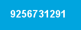 9256731291