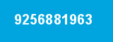 9256881963