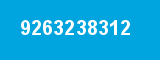 9263238312